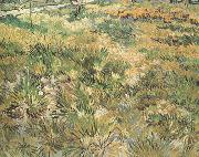 Meadow in the Garden of Saint-Paul Hospital (nn04) Vincent Van Gogh